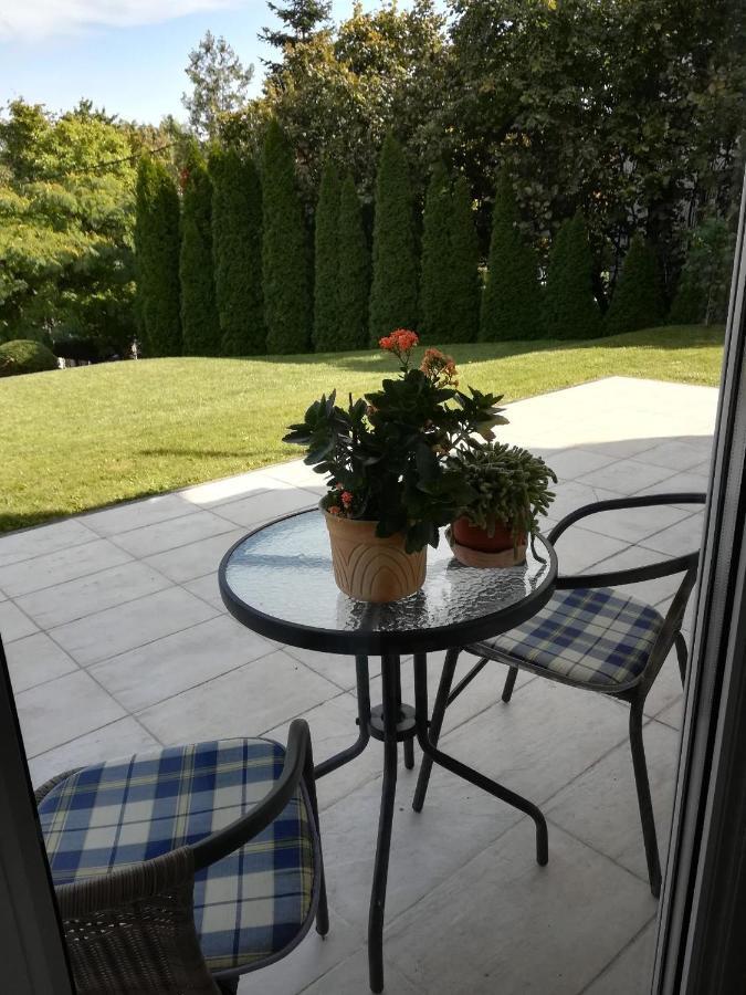 Homy Apartment In Buda, With Safe Garage And Terrace Budapest Kültér fotó